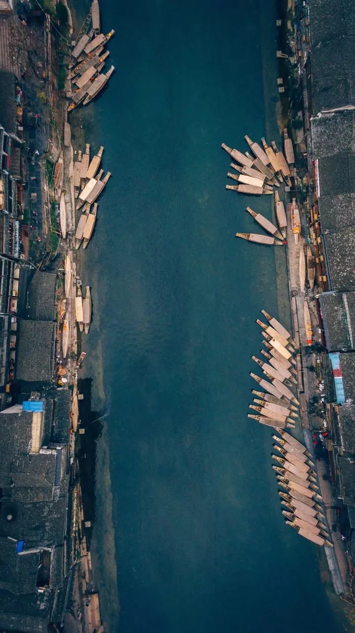 什么是中国传统文化,什么是中国文化