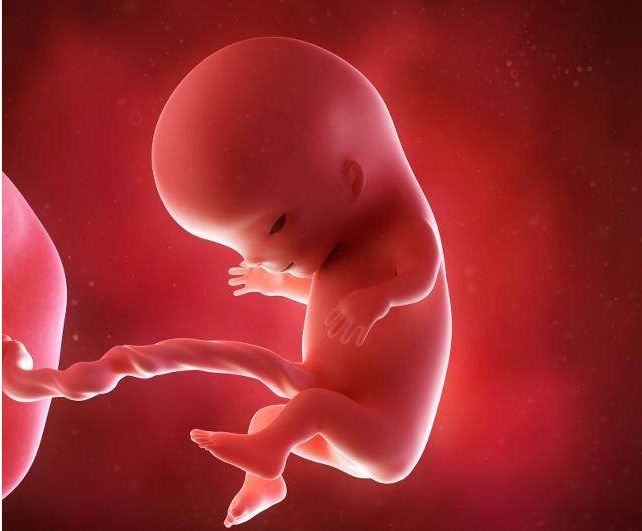 孕妇吃海鲜对胎儿有什么影响,孕妇吃营养素注意事项