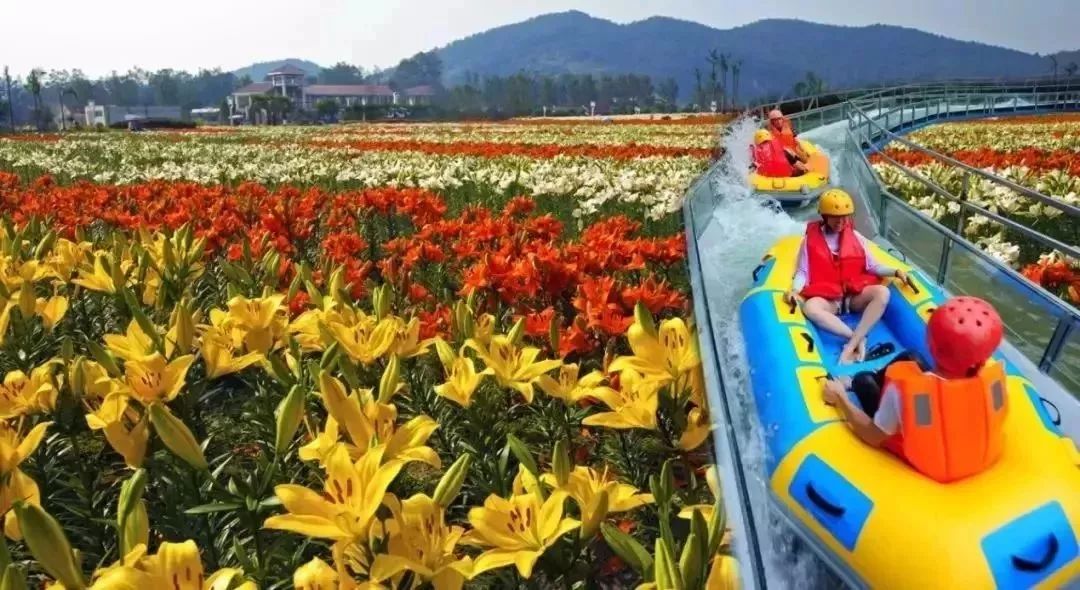 日照花仙子风景区现在能去吗,日照花仙子旅游景区2024年开放吗