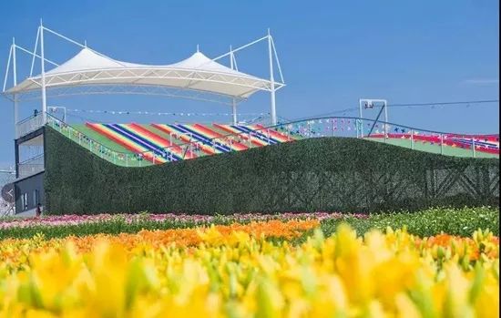 日照花仙子风景区现在能去吗,日照花仙子旅游景区2024年开放吗