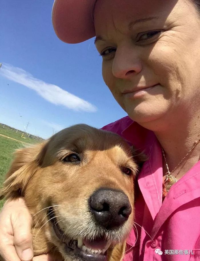 大金毛趴在门口,大金毛睡觉