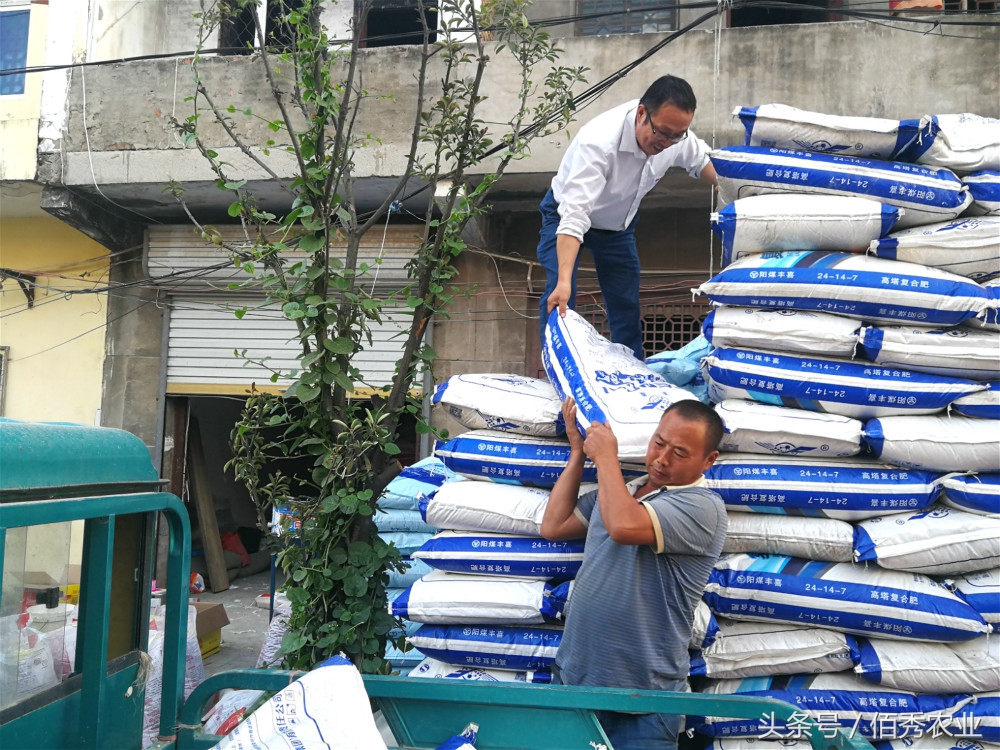 农村有种年赚10多万的生意，又脏又累没有节假日，年轻人不愿接班