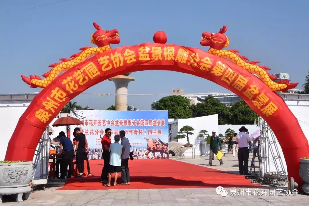 喜迎国庆展风采,迎国庆鲜花展美图