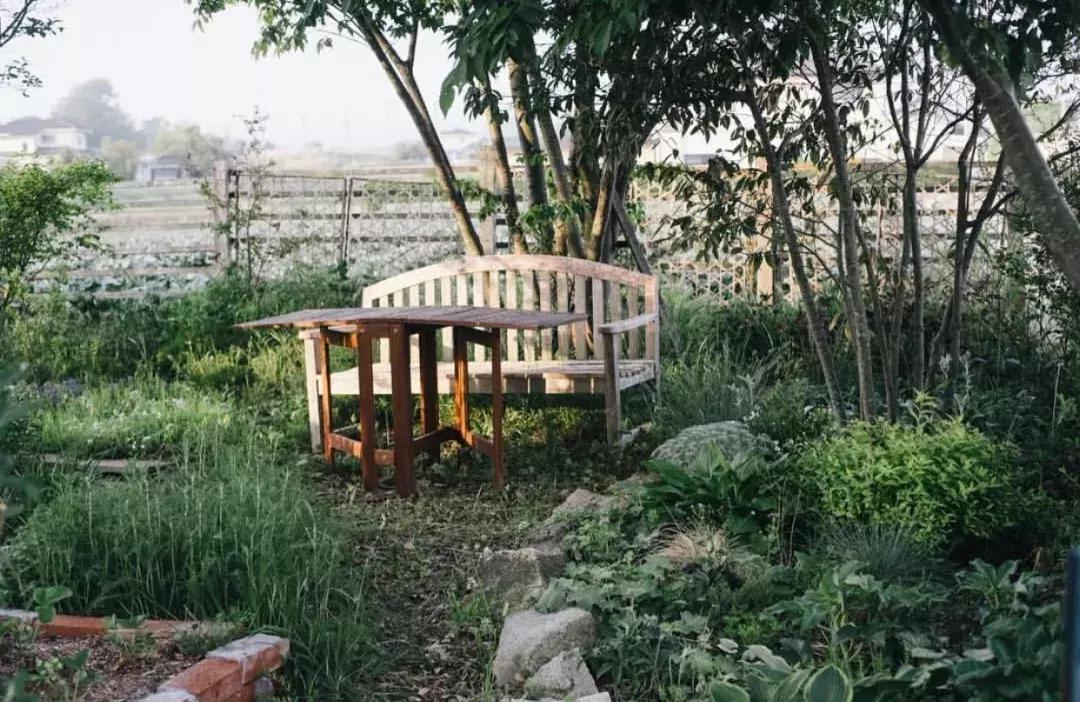 石窑面包店内实拍视频,天然酵母的石窑面包店