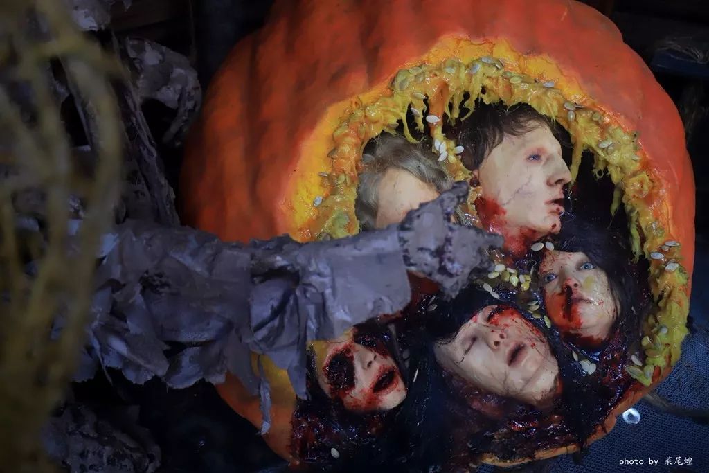 乘高铁游香港快捷又方便,坐高铁怎么样去珠海长隆海洋乐园