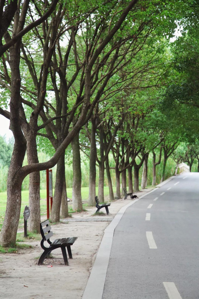 江南旅游注意事项及出行指南,旅游江南水乡