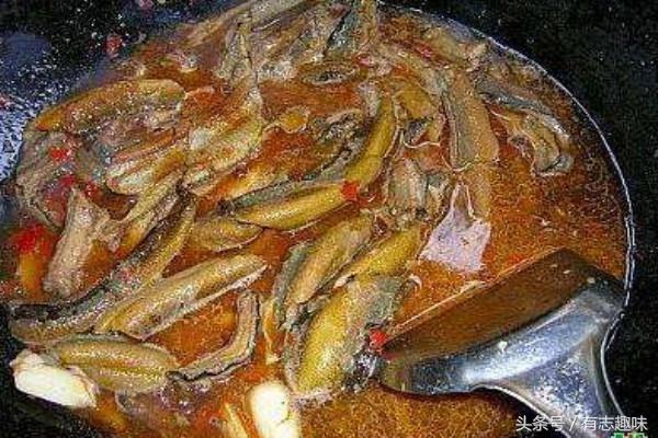 温州黄鳝怎么腌制不会有腥味,黄鳝如何去除膻味