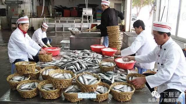 潮汕说的熟鱼和巴浪鱼有什么区别,巴浪鱼只有闽南粤东才有吗