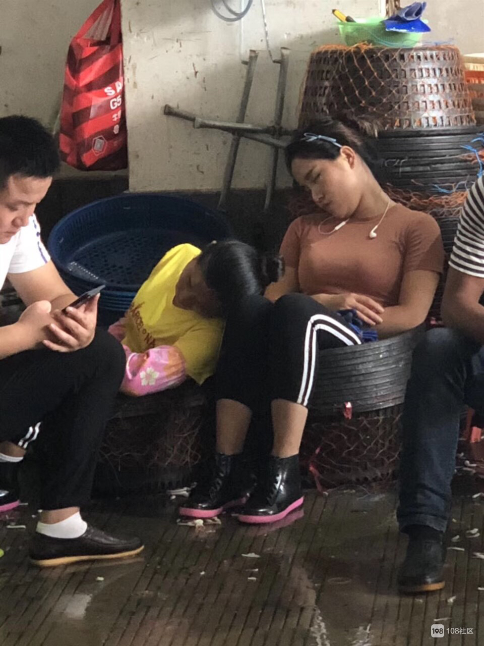 游客去舟山怎么买海鲜,舟山哪个岛买海鲜便宜实惠