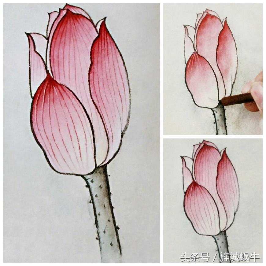 国画工笔重彩教程,国画渲染技法视频