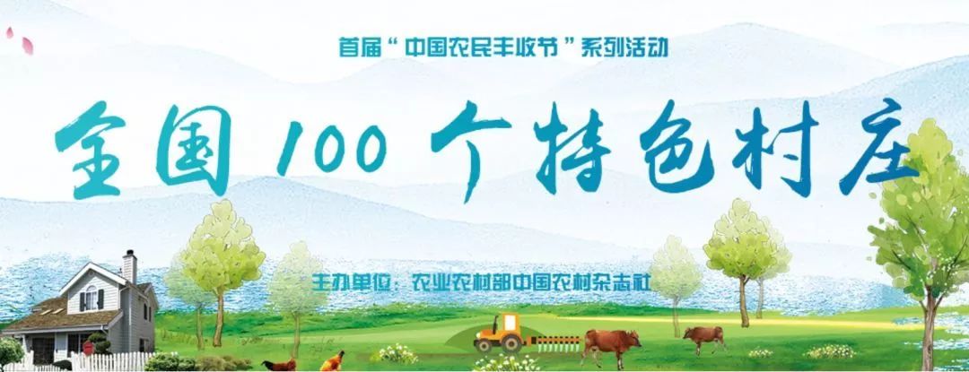 全国十大示范村名单,湖南100个农村特色示范村视频