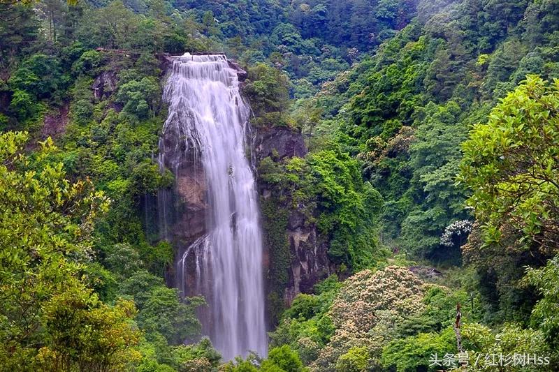 长假里，各大景点人满为患，这里怎么样呢？——森林氧吧