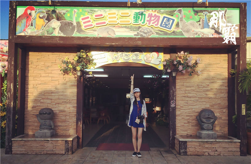 神奇了，在日本那霸这个有名的店你去买鸡蛋，却逛了个真动物园