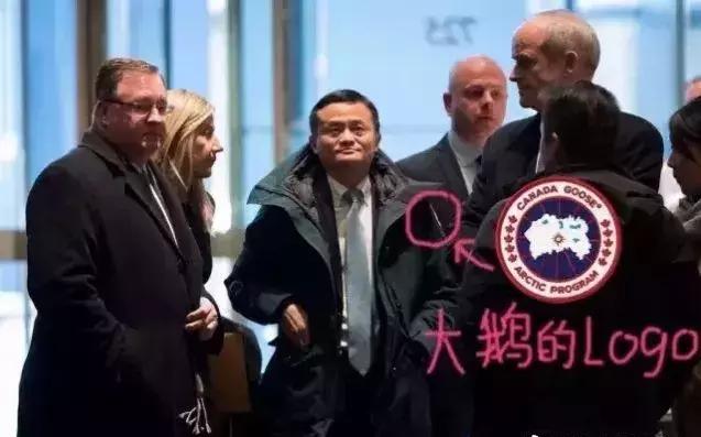 加拿大鹅什么时候涨价,加拿大鹅哭了的视频