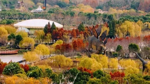 上海有个很美的公园,上海特别美而且安静的公园