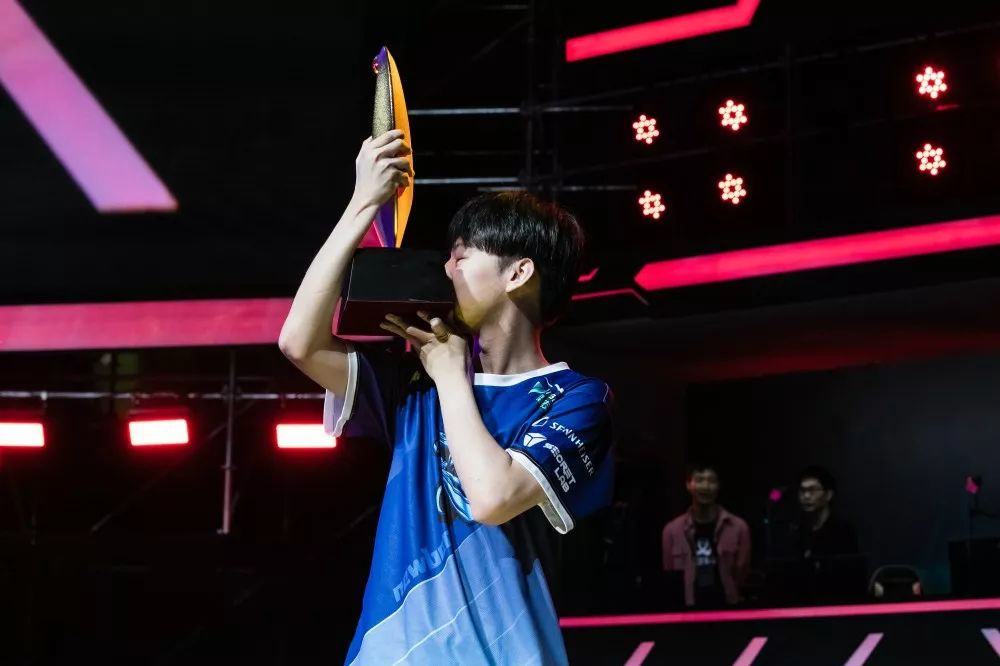 wesg中国区总决赛冠军,wesg2018冠军