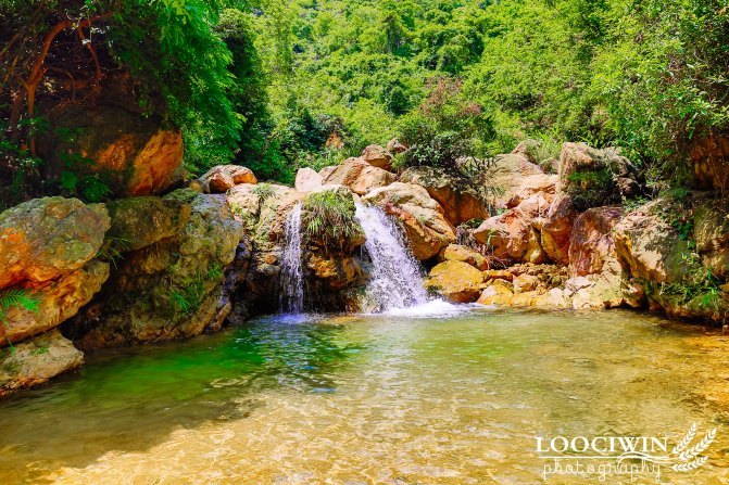 第一次采摘火龙果的体验,高明采摘火龙果