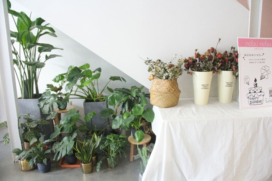 深圳网红小姐姐有多少,深圳小姐姐网红店