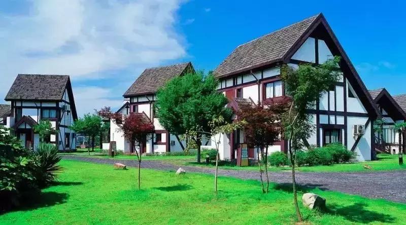 宠物友好五星级酒店,适合带宠物去的酒店