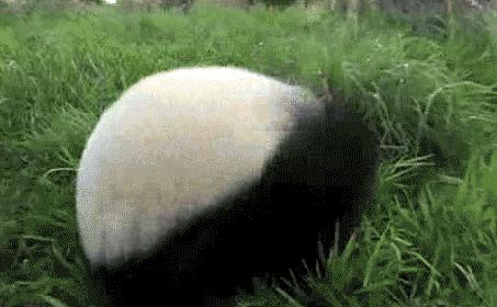 收藏！国庆来都江堰必打卡的10个点~最后一个都去过你就成了资格的灌县人！