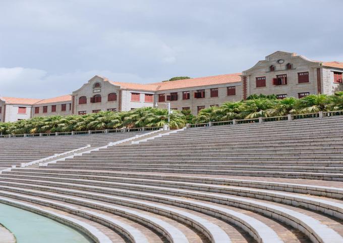 厦门大学打卡照怎么拍好看,厦门大学怎么拍照转场