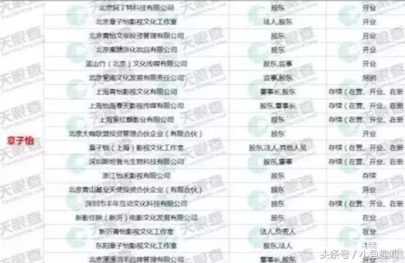 罚款很难凑吗？不存在的，娱乐圈身家大盘点，贫穷限制想象！