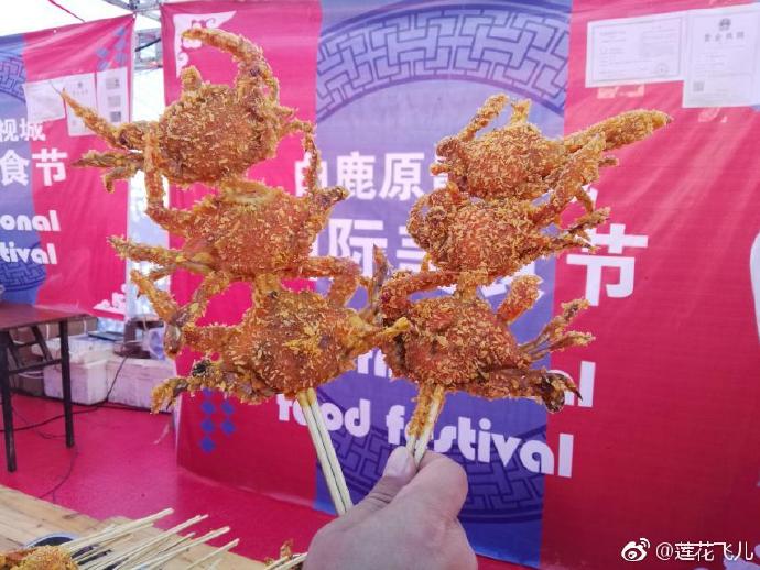 一定要来松原市的八个理由,白鹿原影视城值得去吗