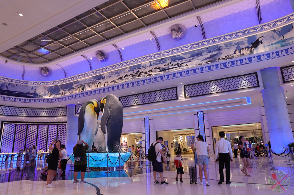 珠海长隆海洋王国企鹅馆北极熊馆,珠海长隆企鹅海洋王国攻略