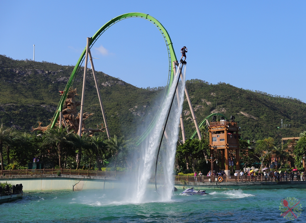 珠海长隆海洋王国企鹅三天两晚,珠海长隆海洋王国企鹅北极熊