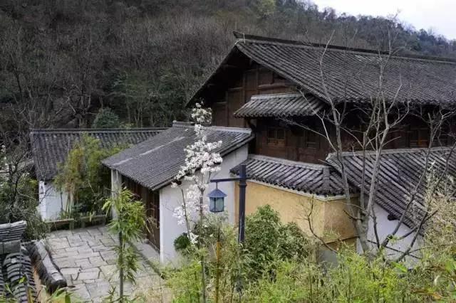 最佳安缦,中国四家安缦哪一家最好