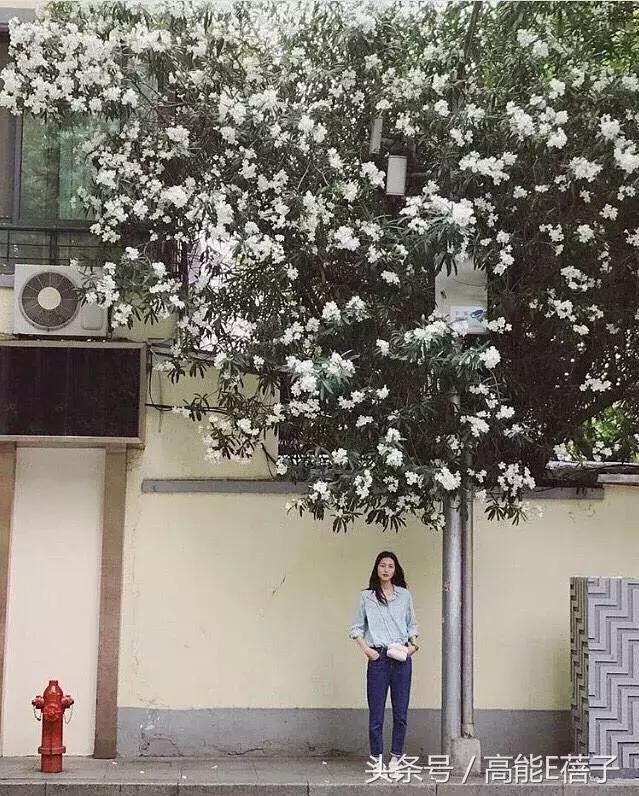 拍照pose技巧和方法,女生拍照剪刀手pose