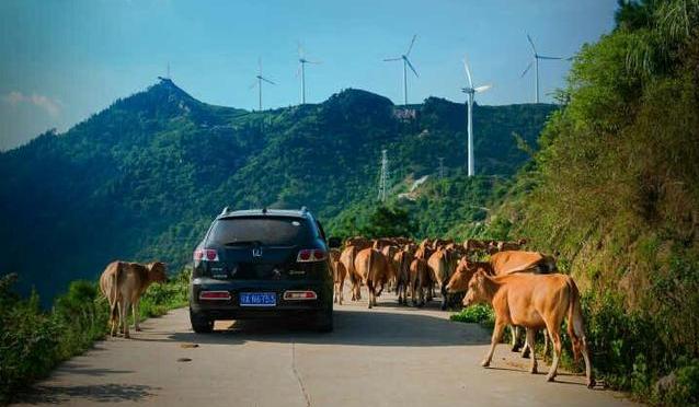 大悟仙居顶在哪里,大悟县仙居顶景色