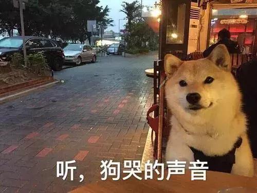 讨饭旅行记,环球寻食