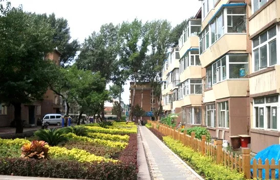 最新石家庄老旧小区改造名单,石家庄2023年老旧小区改造计划