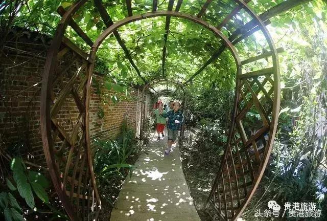 桂平南木农庄,桂平南木新农村