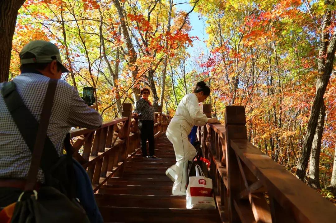 云南一天的游客人流量,云南人多的景点怎么拍照