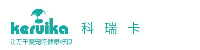 猫咪发烧检测,猫咪发烧怎么治