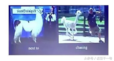 工程师你了解多少,工程师被说不懂技术