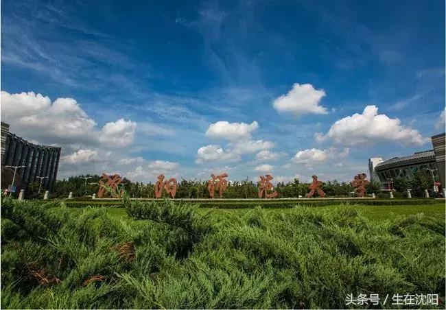 沈阳三十二所高校都有什么,沈阳高校一览表