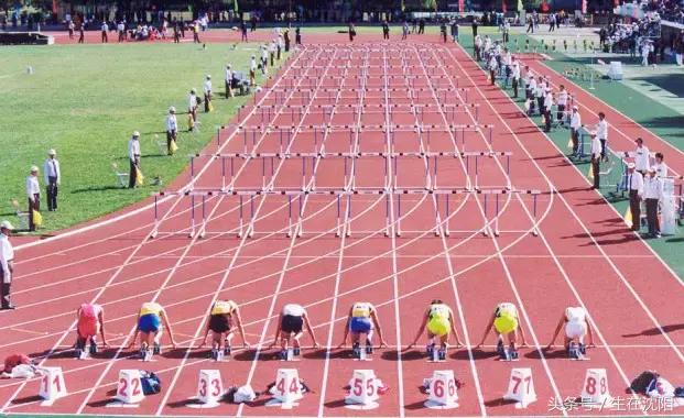 沈阳三十二所高校都有什么,沈阳高校一览表