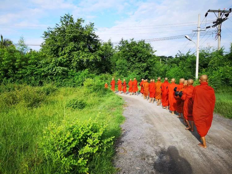 一个人的自由行西藏,一个人的泰国自由行