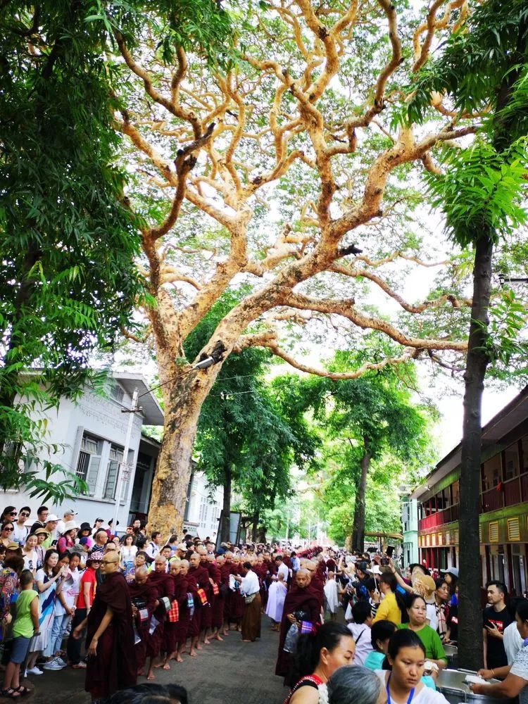 一个人的自由行西藏,一个人的泰国自由行