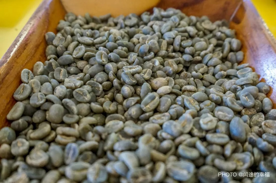 了解咖啡从什么开始,哥斯达黎加咖啡豆属于哪个洲