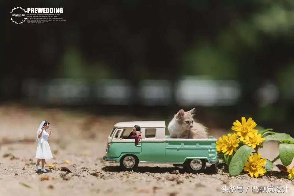 结婚照不浪费,让所有人都满意的结婚照