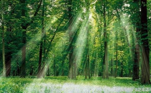 出国旅游刷信用卡注意事项,出境旅游小技巧