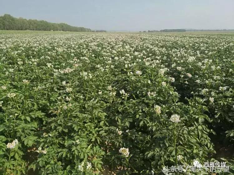 会宁学子求学故事,会宁学子事迹