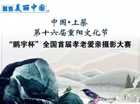 安徽舒城：照片感动无数人！获全国首届孝老爱亲摄影大赛一等奖