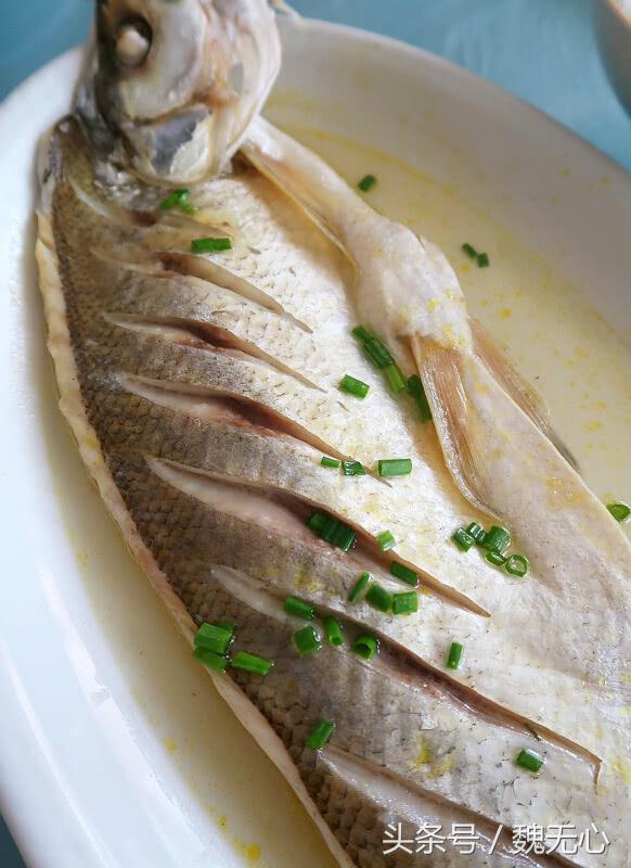 晚上去阳澄湖吃大闸蟹旅游攻略,去阳澄湖吃大闸蟹和游玩攻略