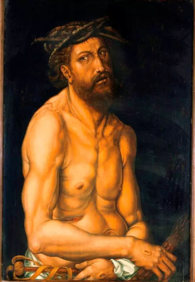 丢勒生平经历,丢勒的经历