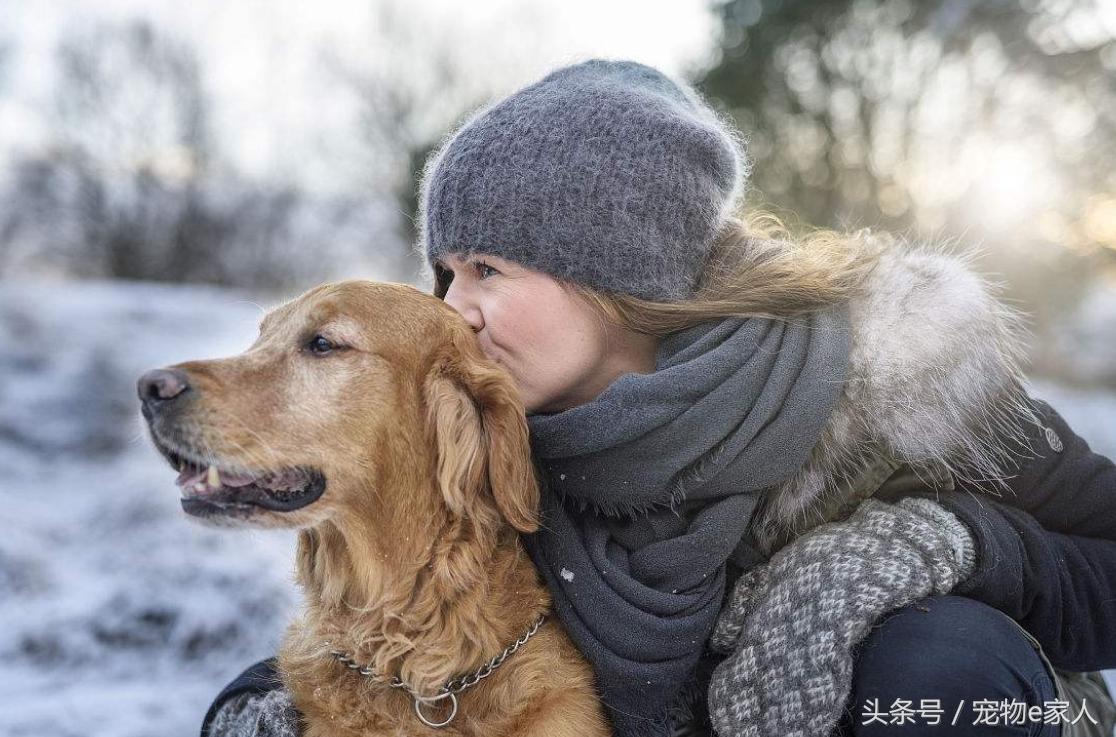 为什么给狗狗做体外驱虫,为什么给狗狗驱虫了还是频繁挠痒
